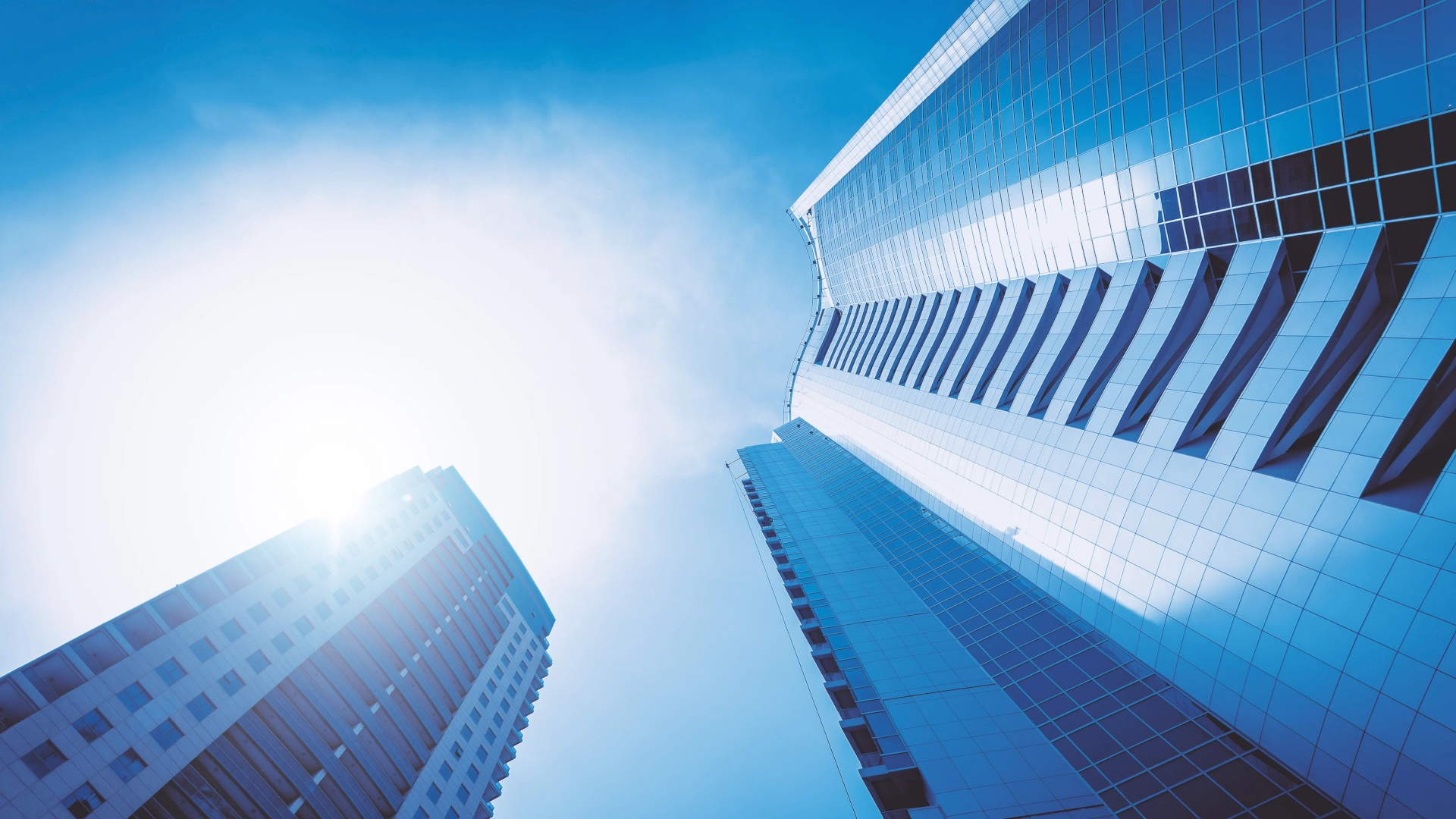 Qodice Software Solution